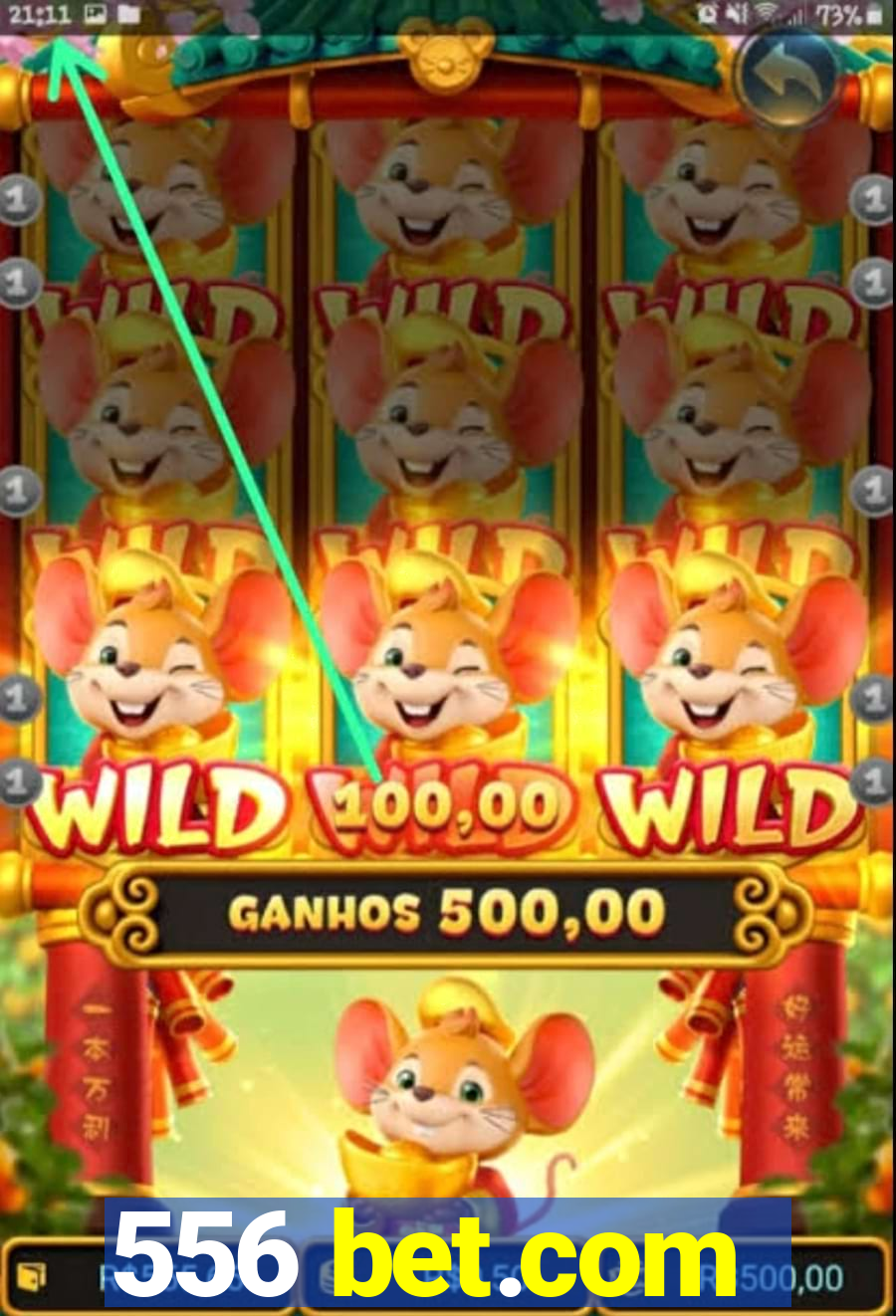 556 bet.com
